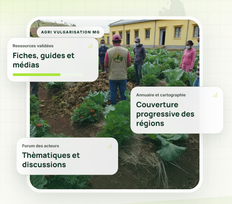 Identité visuelle du projet Agri-Vulgarisation Madagascar